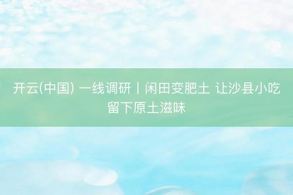 开云(中国) 一线调研丨闲田变肥土 让沙县小吃留下原土滋味