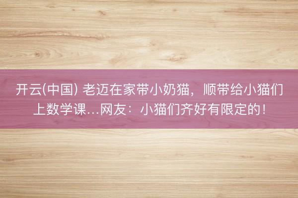 开云(中国) 老迈在家带小奶猫，顺带给小猫们上数学课…网友：小猫们齐好有限定的！
