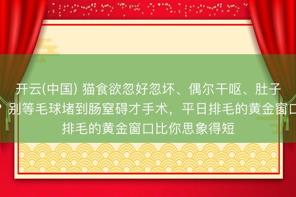开云(中国) 猫食欲忽好忽坏、偶尔干呕、肚子摸起来有点胀？别等毛球堵到肠窒碍才手术，平日排毛的黄金窗口比你思象得短