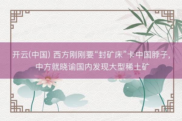 开云(中国) 西方刚刚要“封矿床”卡中国脖子， 中方就晓谕国内发现大型稀土矿