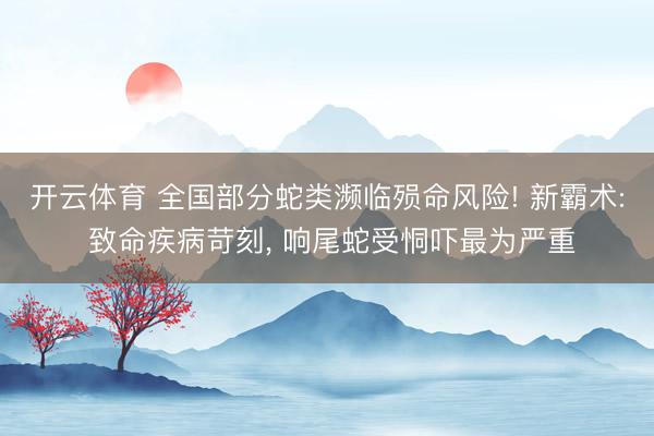 开云体育 全国部分蛇类濒临殒命风险! 新霸术: 致命疾病苛刻， 响尾蛇受恫吓最为严重