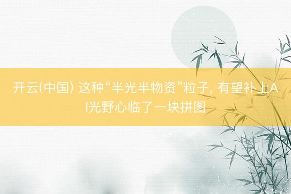 开云(中国) 这种“半光半物资”粒子， 有望补上AI光野心临了一块拼图