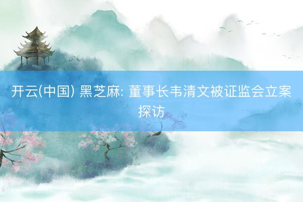 开云(中国) 黑芝麻: 董事长韦清文被证监会立案探访