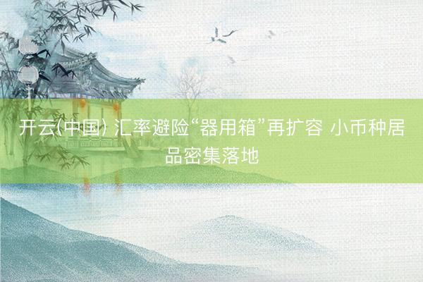开云(中国) 汇率避险“器用箱”再扩容 小币种居品密集落地