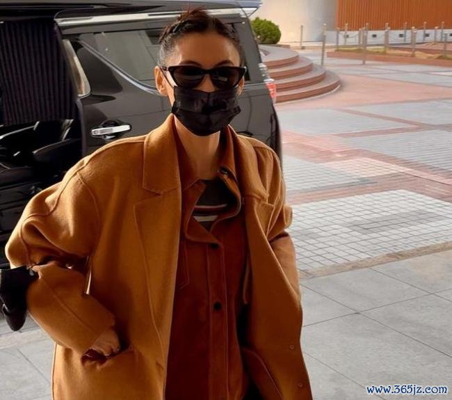 张柏芝与前牙东谈主纠纷案胜诉 合约风云终放手