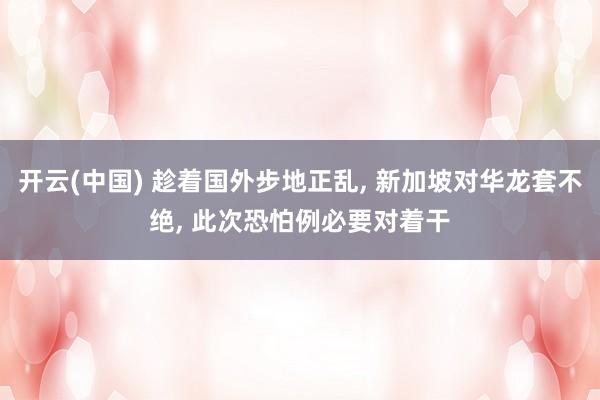 开云(中国) 趁着国外步地正乱, 新加坡对华龙套不绝, 此次恐怕例必要对着干