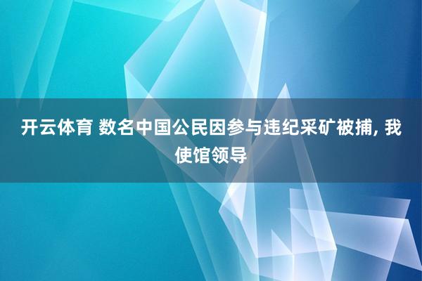 开云体育 数名中国公民因参与违纪采矿被捕, 我使馆领导