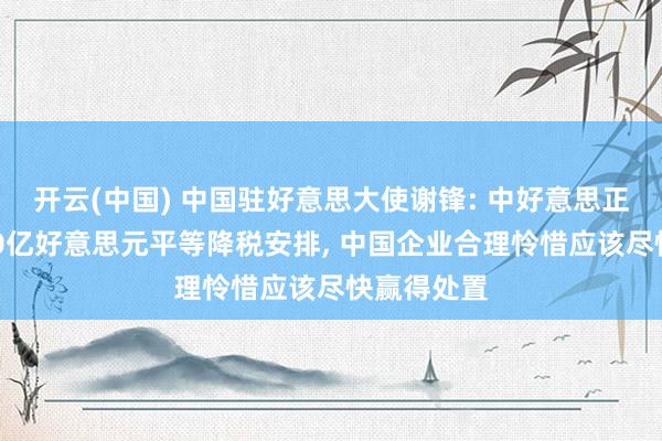 开云(中国) 中国驻好意思大使谢锋: 中好意思正商说念300亿好意思元平等降税安排， 中国企业合理怜惜应该尽快赢得处置